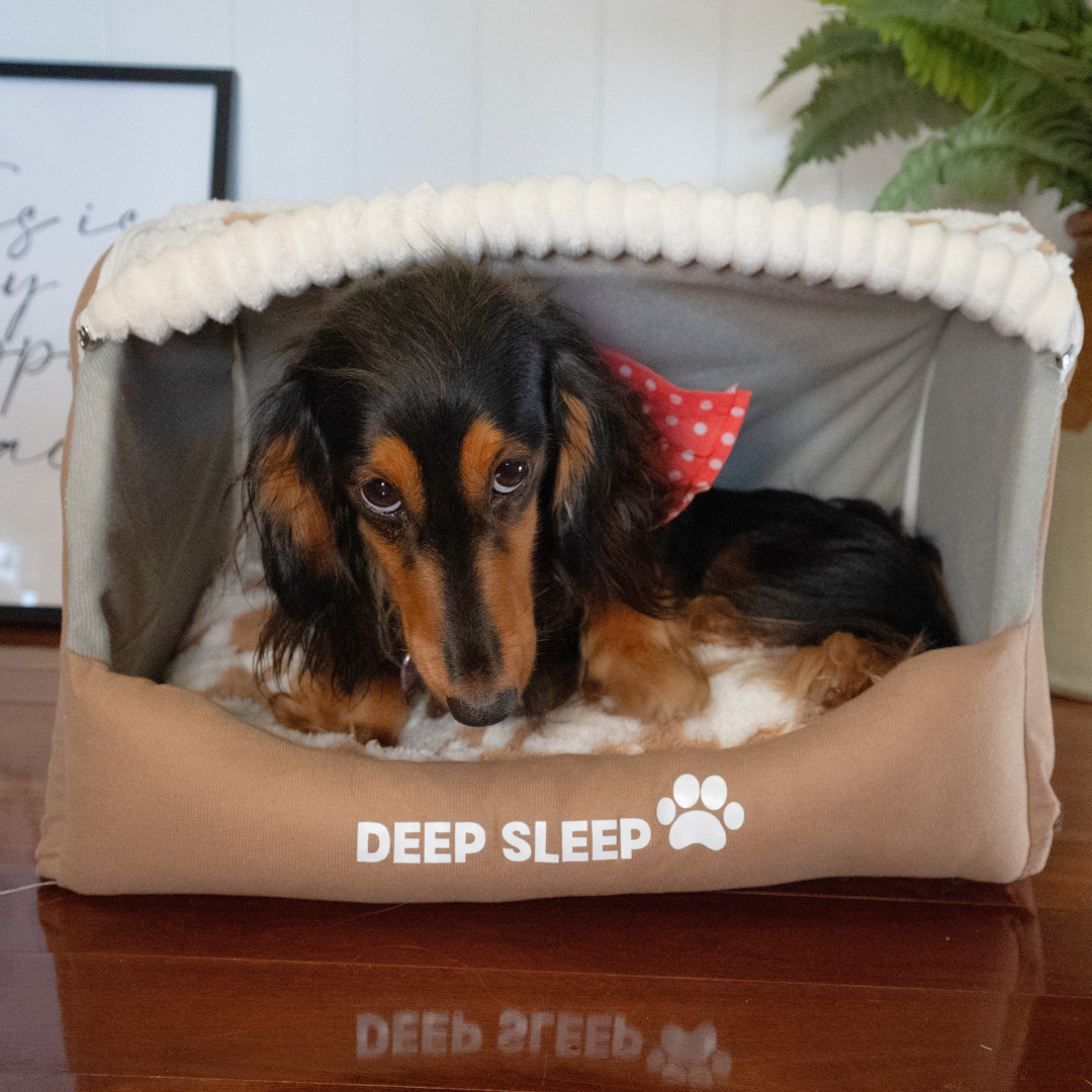 Deep Sleep Dog Bed