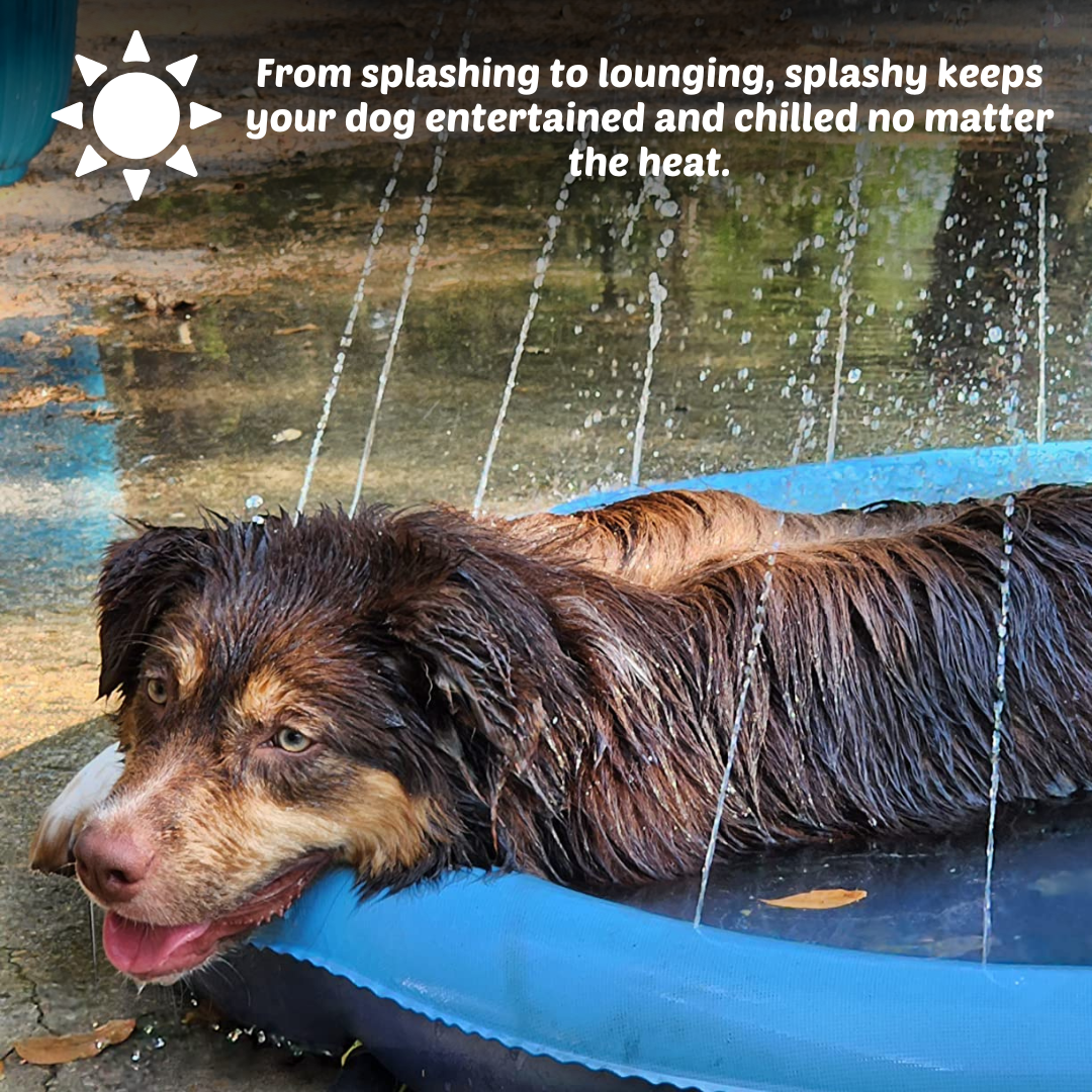 Splashy - Dog Sprinkler Pool