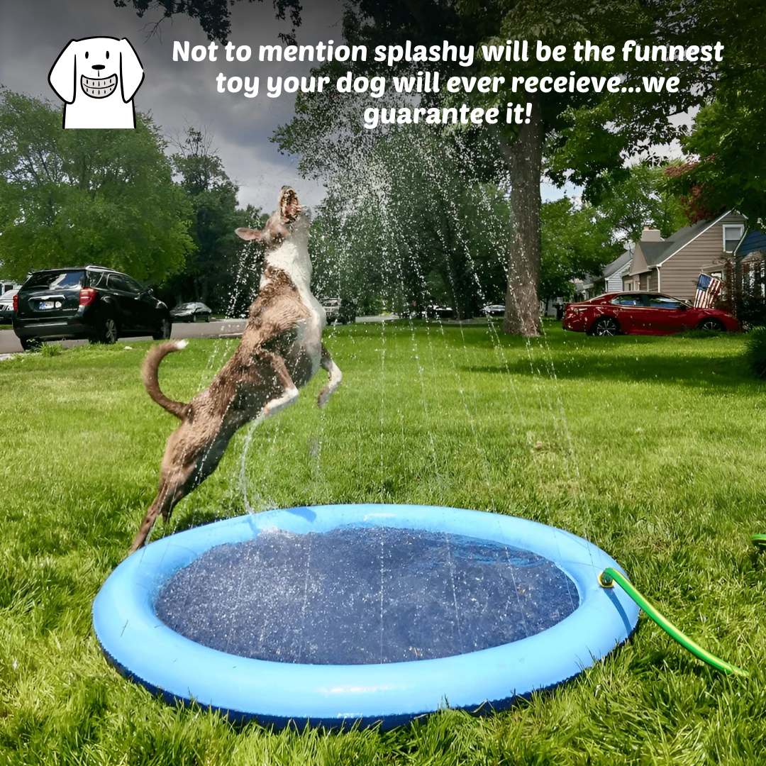 Splashy - Dog Sprinkler Pool