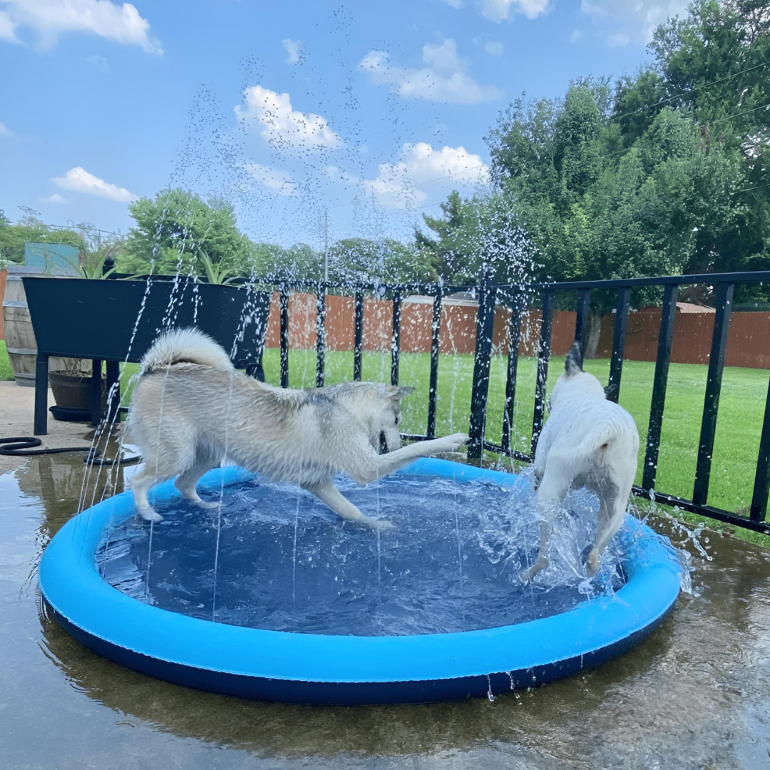 Splashy - Dog Sprinkler Pool
