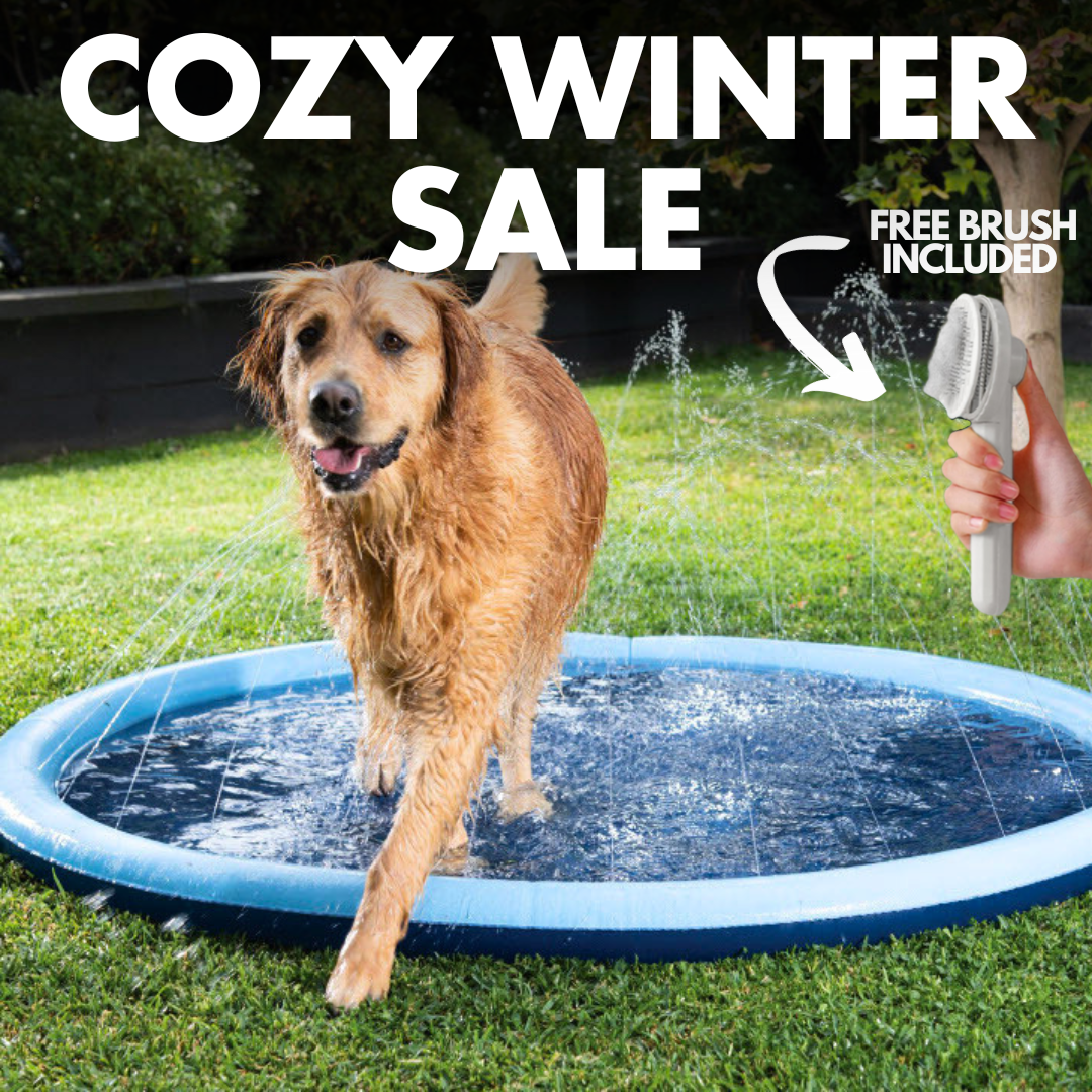 Splashy - Dog Sprinkler Pool