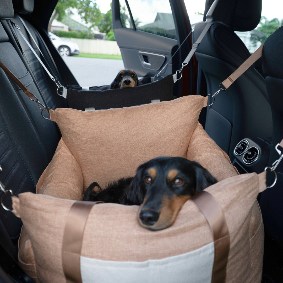 Pet Voyage Car Bed