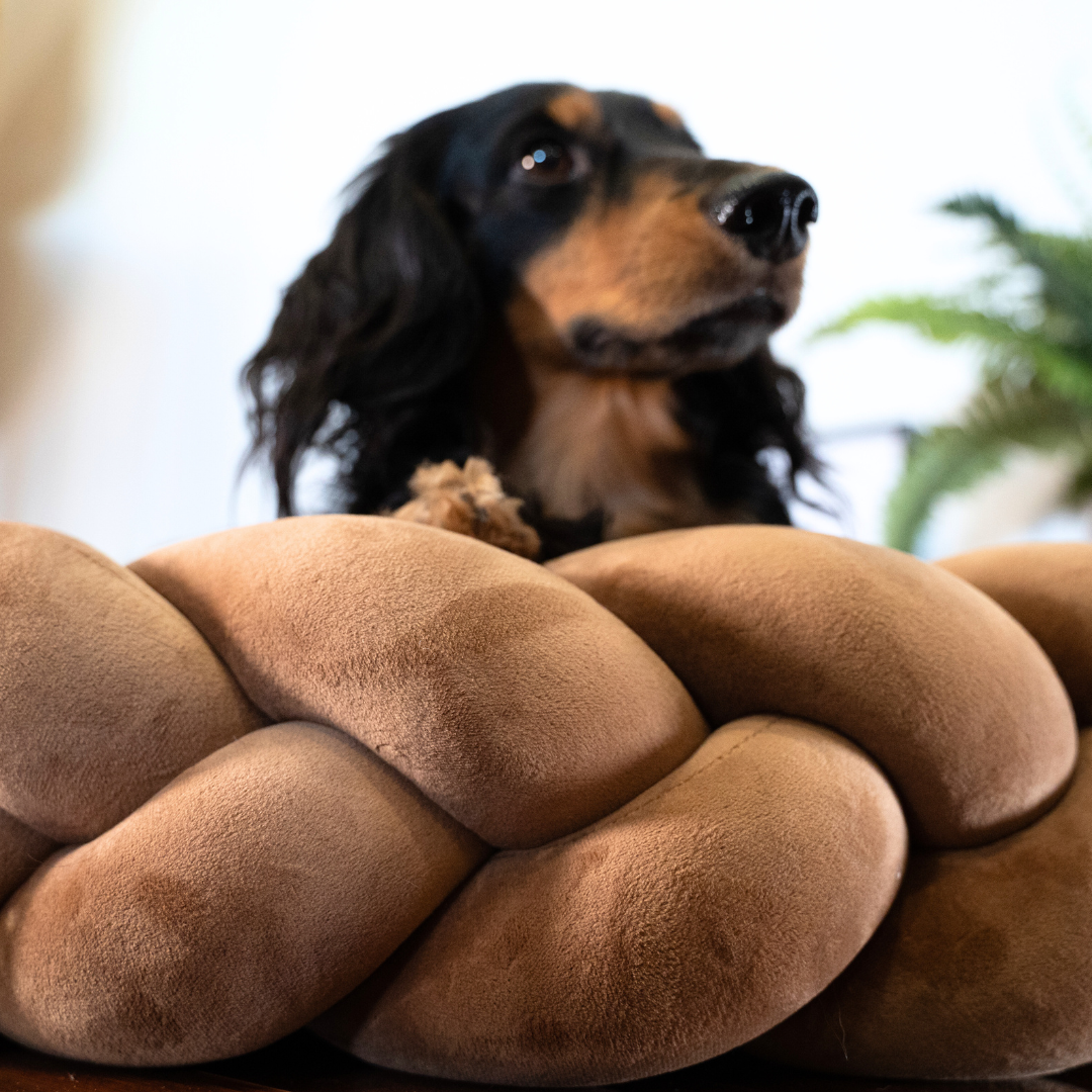 Woven Nook - Calming Dog Bed