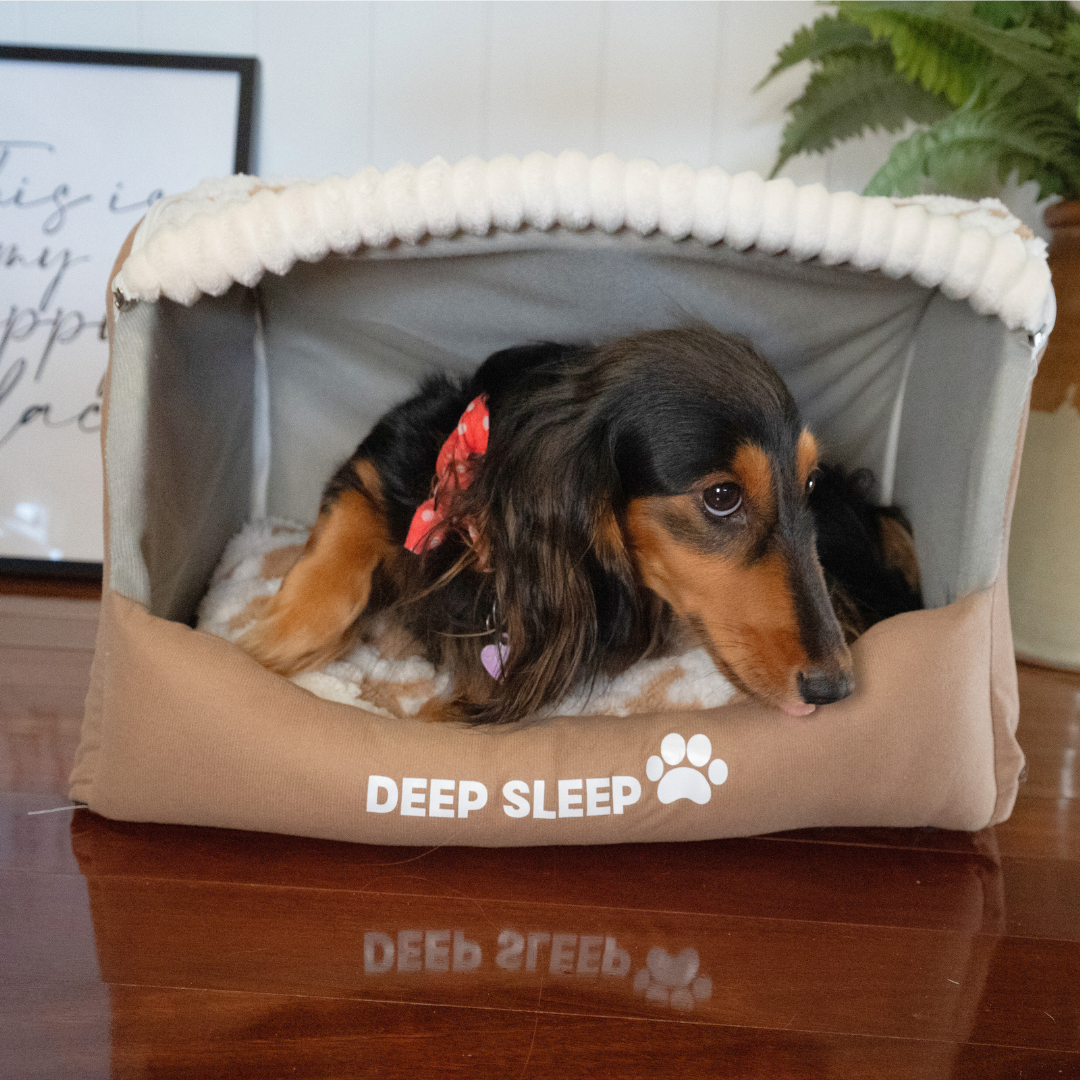 Deep Sleep Dog Bed