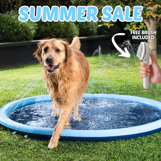 Splashy - Dog Sprinkler Pool