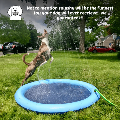 Splashy - Dog Sprinkler Pool