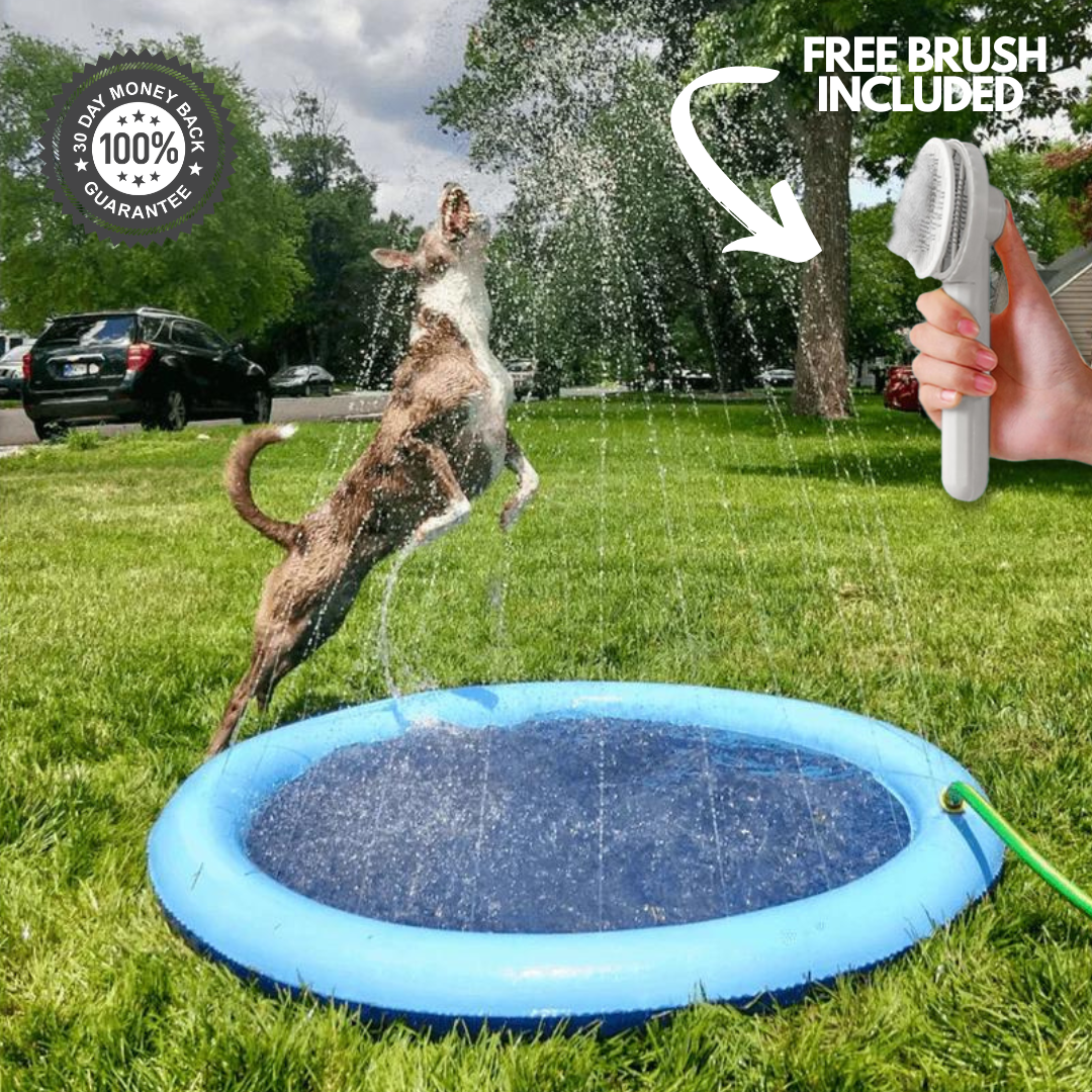 Splashy™ - Dog Sprinkler Pool