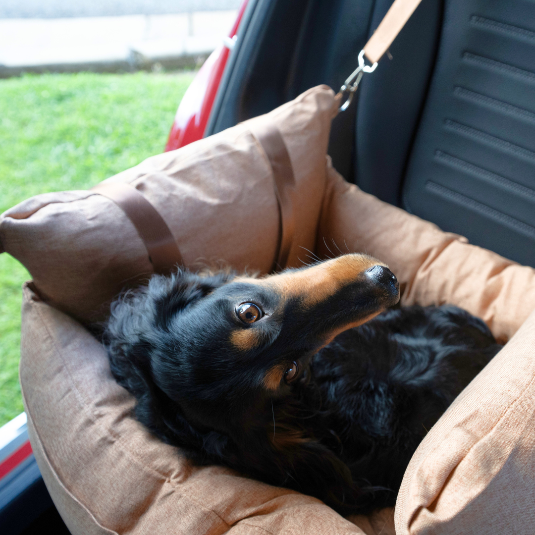 Pet Voyage Car Bed