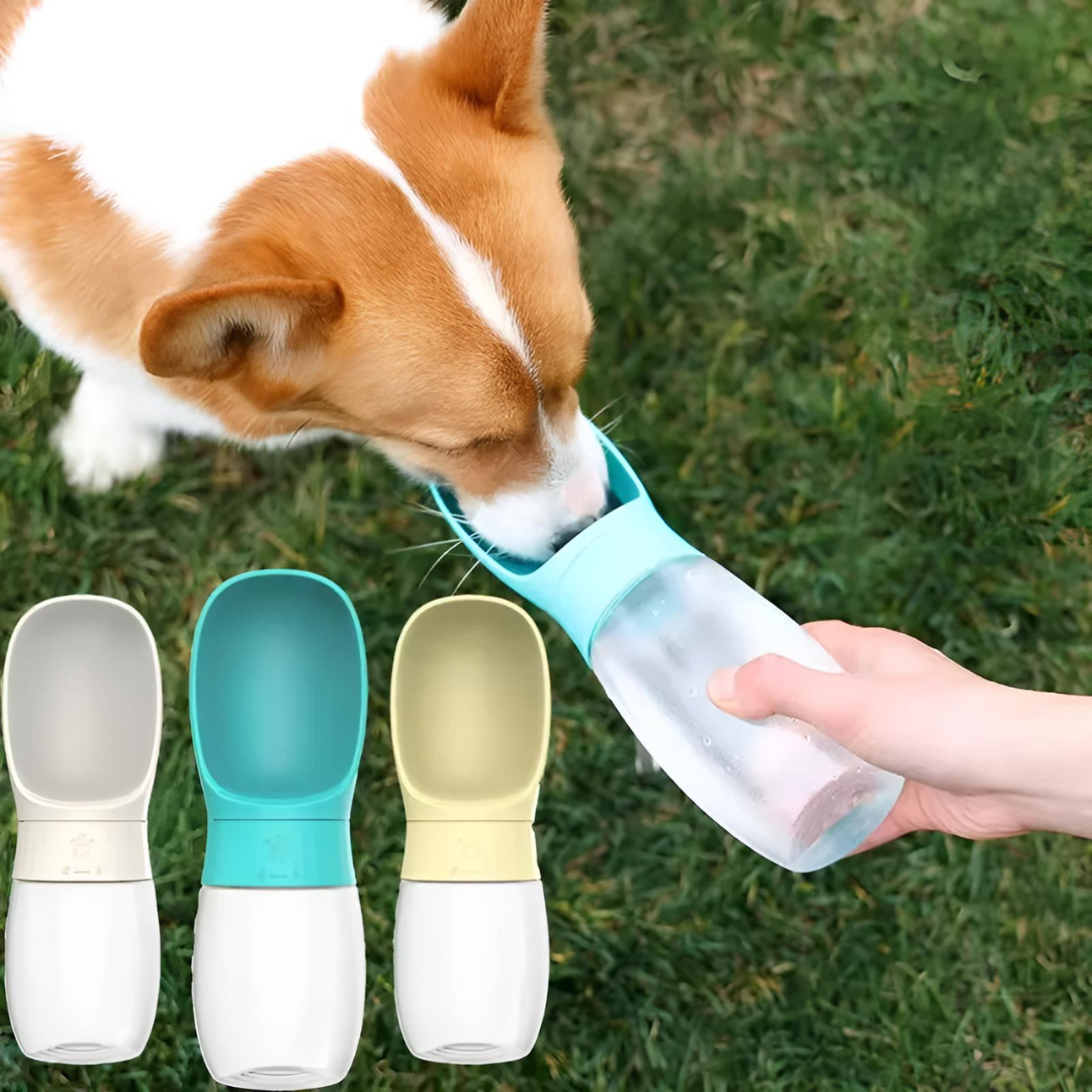 Portable Outdoor Dog Water Bottle