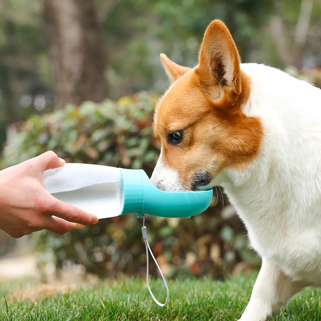 Portable Outdoor Dog Water Bottle