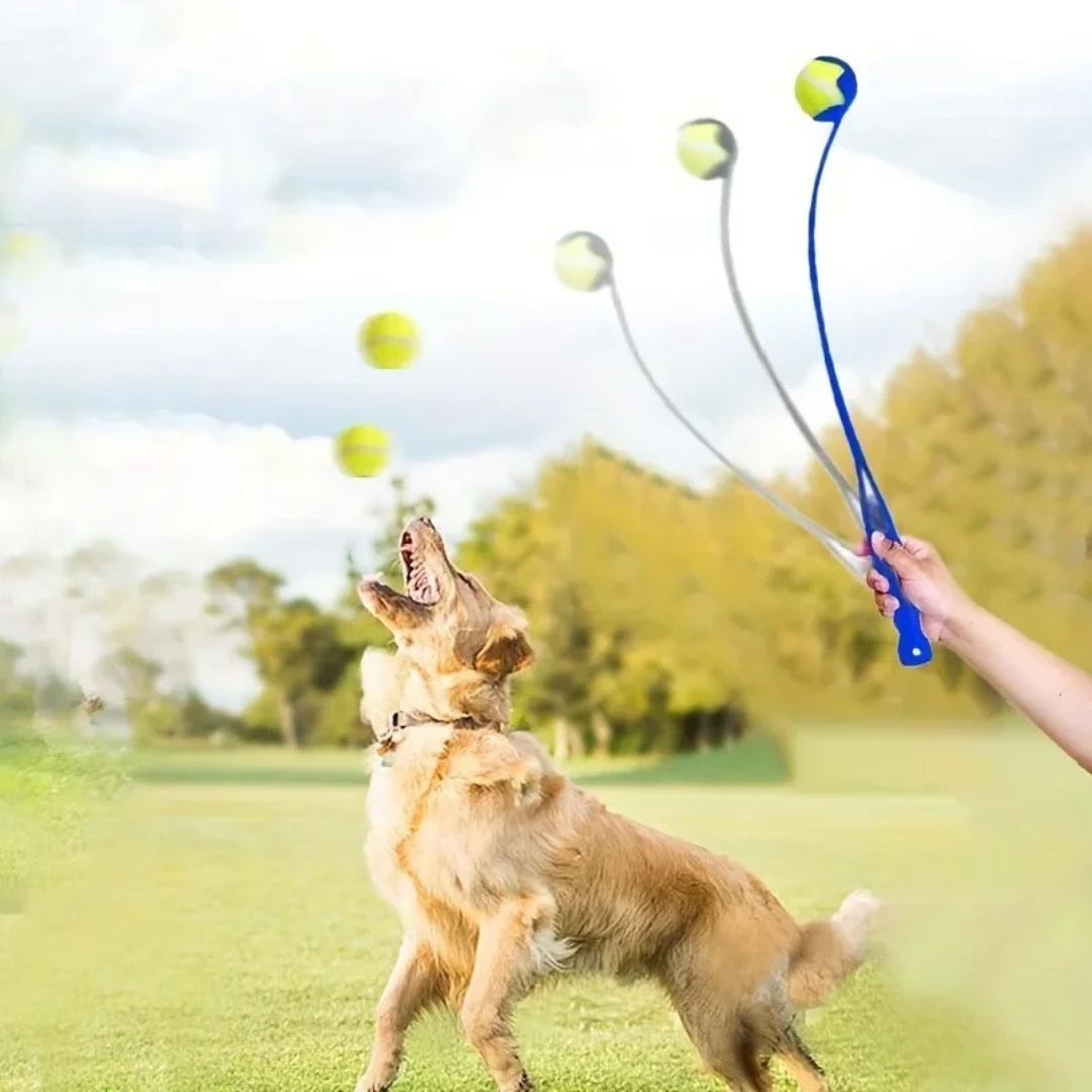 Dog Tennis Ball Launcher