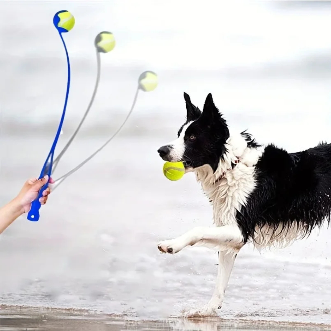 Dog Tennis Ball Launcher