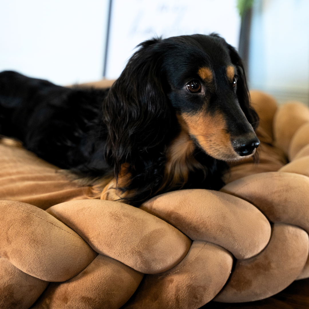 Woven Nook - Calming Dog Bed