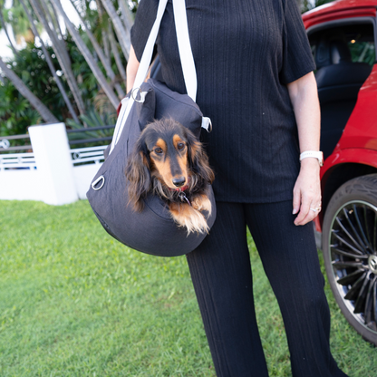 Pet Voyage Car Bed