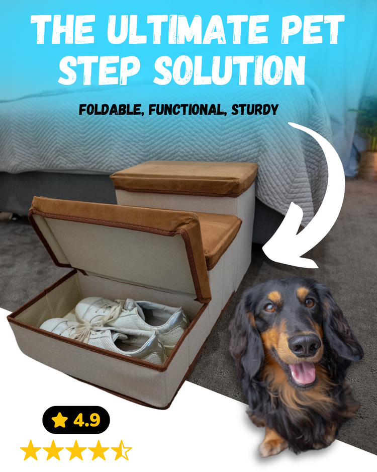Pawsteps – smilingpaws