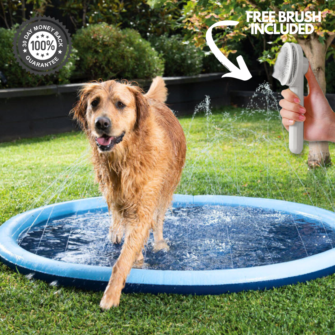 Splashy™ - Dog Sprinkler Pool